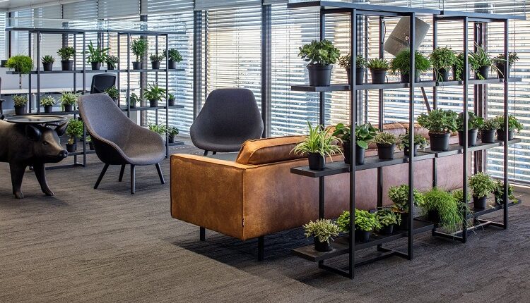 GREENERY IN OFFICES AND FACTORIES