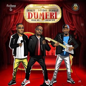 dumebi single1971904356 - Fiokee ft. Davido X Peruzzi – Dumebi