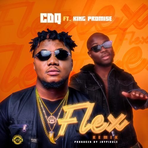 img 20190208 wa0005240586800 1 - CDQ ft. King Promise &ndash; Flex (Remix)