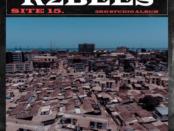 r2bees site 15 seekhypeng1452805653 600x450 - R2Bees ft. Wizkid – Straight from Mars